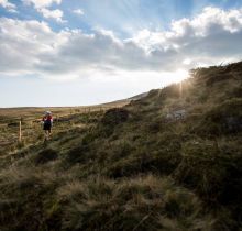 Trails du Sancy Oxsitis GR Invest